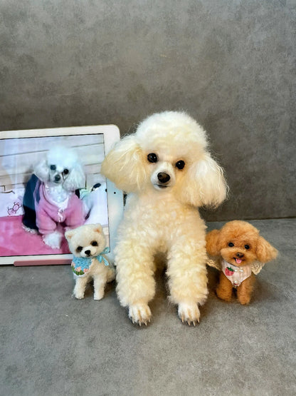 Custom Needle Felt Pet Portrait & Sculpture